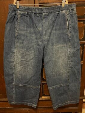 Pilcro Izzie Relaxed Pull-On Barrel Jeans 2X